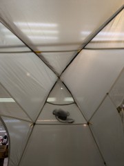 PXL_20250817_070941836
